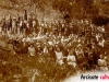 Festa degli alberi Arcisate