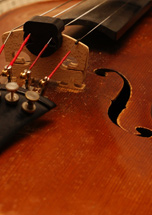 Concerto Arcisate