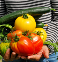 CORSO DI ORTOFRUTTICOLTURA arcisate