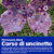 Corso Uncinetto Arcisate 2024