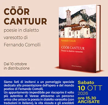 Fernando Comolli