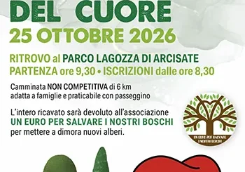 camminata del cuore arcisate 2026